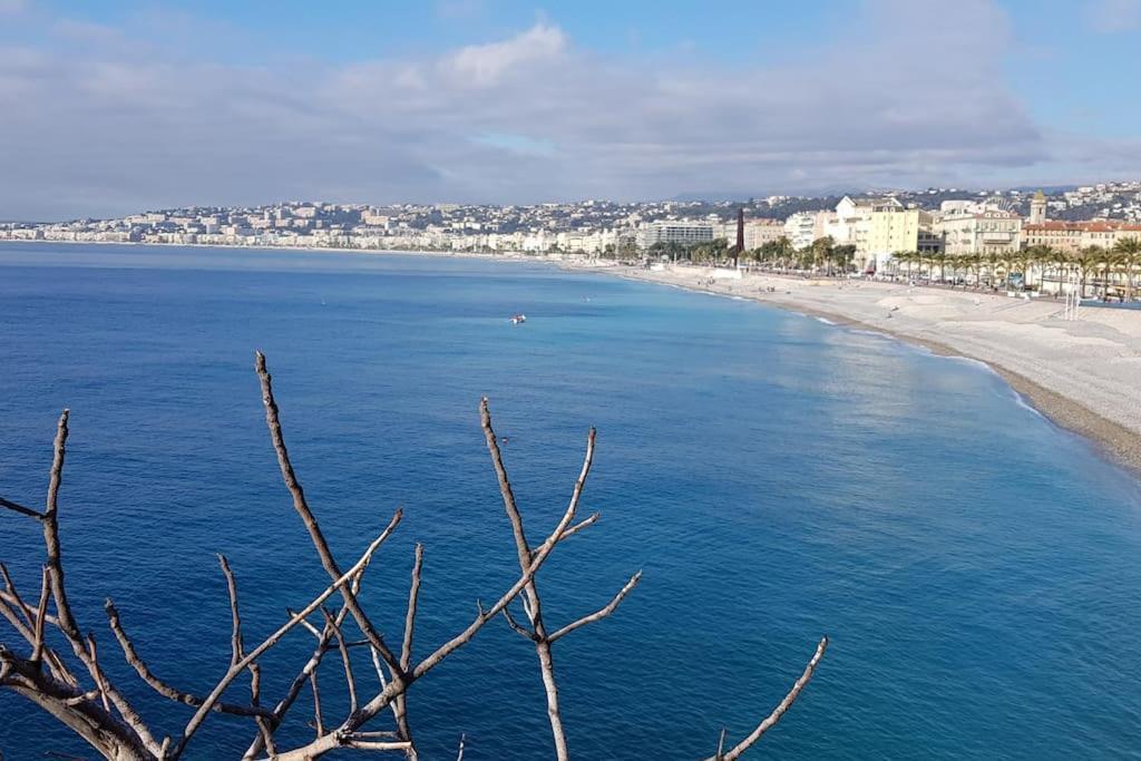 Studette En Plein Coeur Du Vieux Nice Eksteriør bilde
